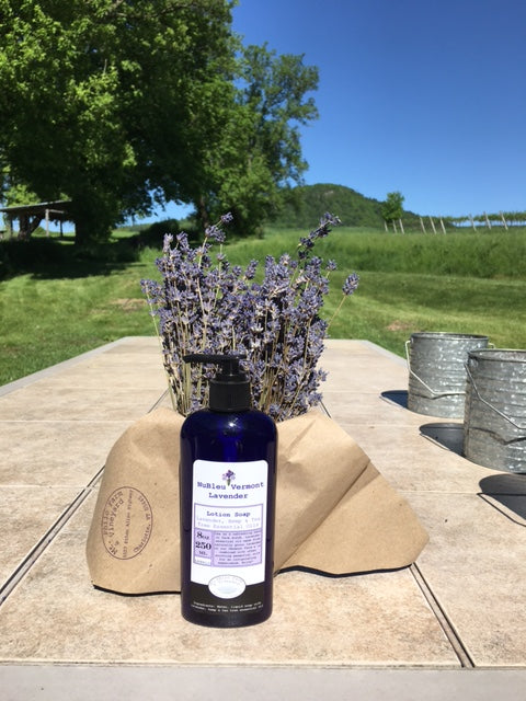 Lavender Lotion soap