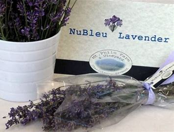 Lavender Bundles