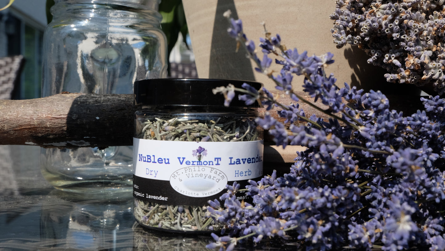 Lavender Herbs